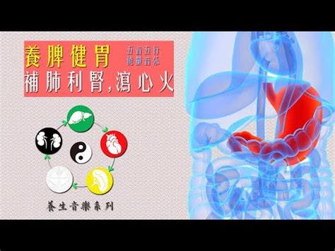 韻 五行|韻字的五行属性